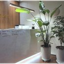 엔돌핀건강타운 | 직장인 문정마사지 힐링앤바디 본점으로 활력과 건강 되찾기