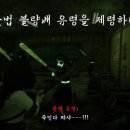 킨키