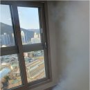 청정동물약품 이미지