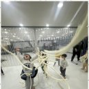 푸른 경희대 태권도장 이미지