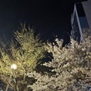 새말4길(일방통행) 네이버블로그