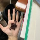 서현유통(애플) | 2603