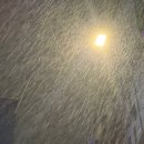 동찬농장 이미지