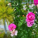 현대배관 이미지