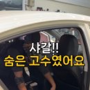 디테일리 이미지