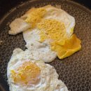 볼지메디 이미지