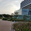 스트란트(THE STRAND) 이미지