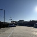 송강애견 | 광주 근교 초대형 신상 카페 담양 들꽃숲 후기