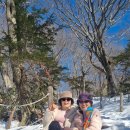 존자암지 이미지