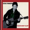 Steve Forbert-I'm in love with you 이미지
