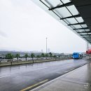 SK렌터카 | 제주도 렌트카 추천 제주 SK 렌터카 완전자차 셀토스 이용 후기