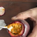 영광농장 이미지