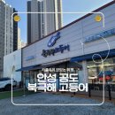 북극해고등어 | 안성 공도 화덕 구이 북극해 고등어 내돈내산 점심 후기