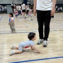 달또롱 | [11개월] 또롱 소개서, 나는 문명인이라 걷지 않아