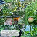 오륙에스티(56st) 이미지