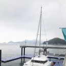 [거제] 한화리조트 벨버디어(4) ; 블랙업(Blackup) 커피 & 마리나 요트 & 장목반점 & 아이스크림 먹는 곰