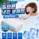 듀블랑 | 올여름 역대급 꿀잠템ㄷㄷ 듀브론 냉감 쿨매트 여름 침대패드