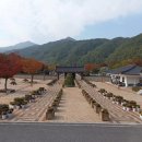 국화통신 이미지
