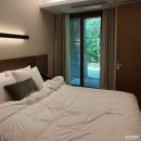 제천 리솜 포레스트 완벽 가이드: 숲속 힐링을 위한 숙박 정보와 꿀팁 🌲