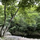 다온팬션2 이미지