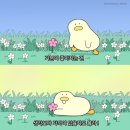 12월 첫째주 방가방가♡₊˚ ☘️・₊✧