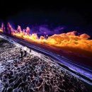 경포아쿠아리움박물관 이미지