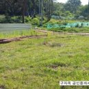 구자옥공인중개사사무소 이미지