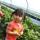 해피차일드어린이집 이미지