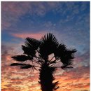 하루민박 이미지