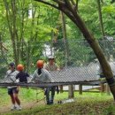 산림놀이 이미지