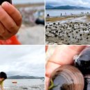 강서어린이공원 이미지