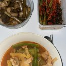 승희네 다육이 이미지