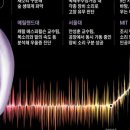 소리나무숲