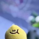 뽑스퀘어 이미지