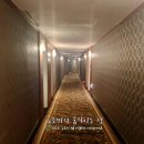100년넘은 대전 유성호텔 슈페리어 패밀리룸 투숙 후기