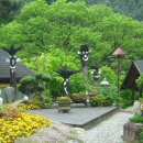 올림픽밸리 이미지