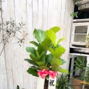 진영건축사사무소 이미지