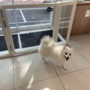 봄날동물병원 이미지