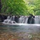 일상을 기록하는 어반 스케치 이미지