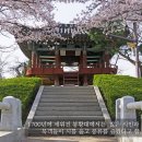 고즈넉한 유적지의 아름다움, 경북 김천 이미지