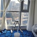 세무서.도청입구(03039) | 여름철 불청객, 너 잡으러 청주 왔어