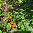 예심농장 이미지