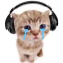 하모니car | 1월 18일 카더가든 콘서트를 다녀오다...