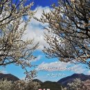 꽃나루공원화장실 이미지