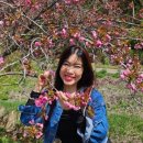 서산스포츠댄스학원 이미지