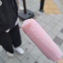 11월이라는걸 의식하지 말고 가볼까