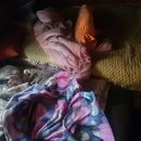 하이얀크리닝 이미지