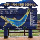 생태와대구 이미지