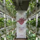 포시즌 팜 스테이 이미지