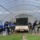 홍동농협 이미지